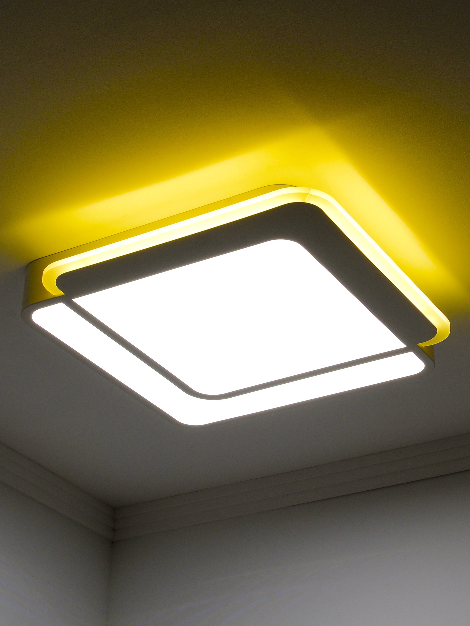 Потолочный светильник LEDSWET 8161