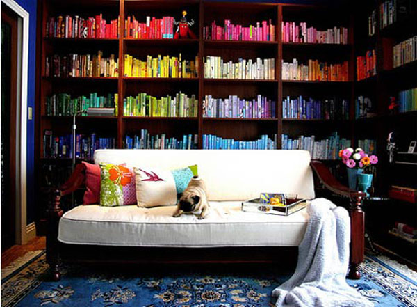 Оживленная домашняя библиотека, полная цвета и ярких оттенков
