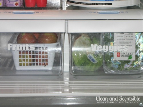 Lots of tips and tricks to help organize your fridge and freezer!